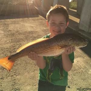 Meet your Posher, Ben